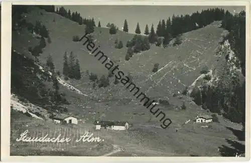 Staudacher Alm - Foto-Ansichtskarte - Verlag J. Weidlinger Grassau