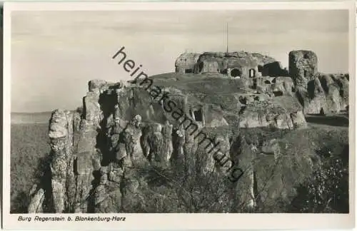 Burg Regenstein - Foto-Ansichtskarte 30er Jahre - Verlag U. Bornemann Blankenburg