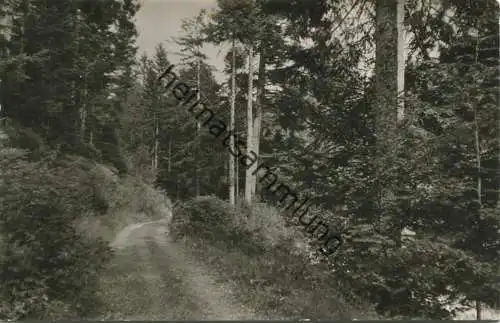 Lossburg-Rodt - Foto-AK - Verlag Erwin Schwenck Lossburg - gel.