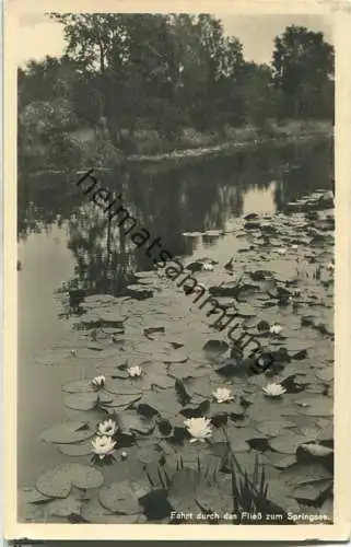 Springsee - Fliess - Foto-Ansichtskarte - Verlag Rudolf Lambeck Berlin-Grunewald