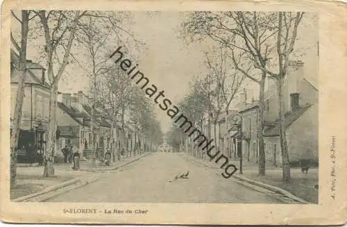 St. Florent - Cher - La Rue du Cher - gel. 1902