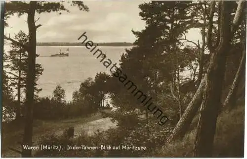 Waren - In den Tannen - Blick auf Müritzsee - Foto-Ansichtskarte 20er Jahre - Verlag Julius Goldiner Berlin