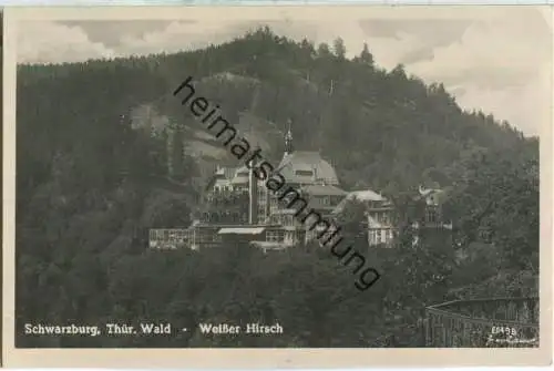 Schwarzburg - Weißer Hirsch - Foto-Ansichtskarte - Verlag Rudolf Zieschank Rudolstadt