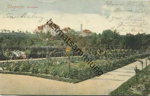 Chemnitz - Rosarium - gel. 1912