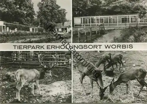 Worbis - Tierpark - Foto-AK Grossformat - Verlag Bild und Heimat Reichenbach