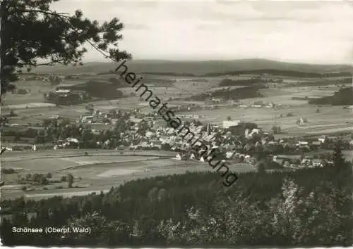 Schönsee - Foto-AK Grossformat 60er Jahre - Verlag Kaufhaus Fiedler Schönsee