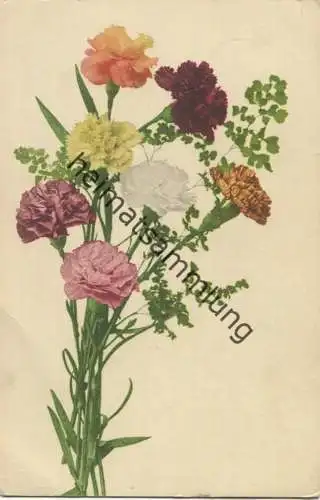Nelken - Farbenlichtdruck Martin Rommel & Co. Hofkunstanstalt Stuttgart ca. 1900