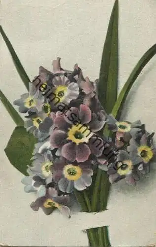 Blumen ca. 1900