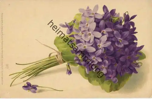 Veilchen - Verlag Meissner & Buch Serie 1210 Veilchen Duft ca. 1900