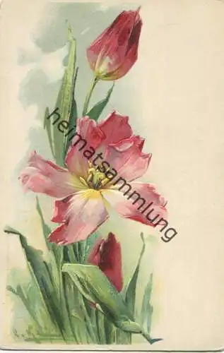 Catharina C. Klein - Tulpen - Prägedruck