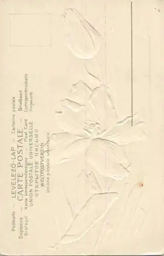 Catharina C. Klein - Tulpen - Prägedruck