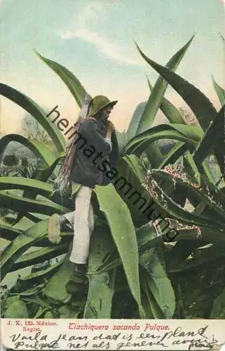 Mexico - Tiachiquero sacando Pulque - Verlag J. K. Mexico