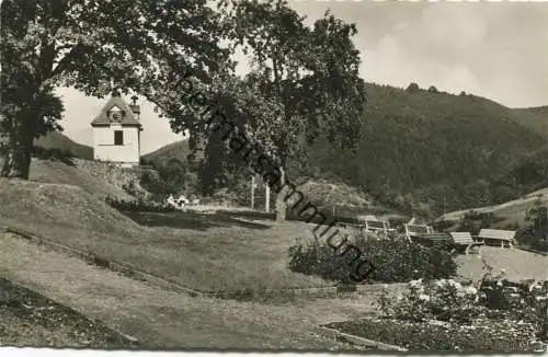 Wieda - Anlagen am Glockenturm - Foto-AK gel. 1957