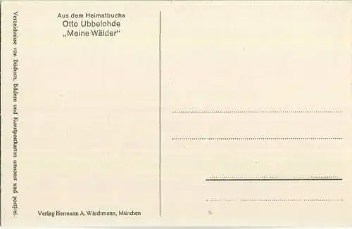 Ein stilles Tal - Aus dem Heimatbuche Otto Ubbelohde Meine Wälder - Künstlerkarte signiert Otto Ubbelohde