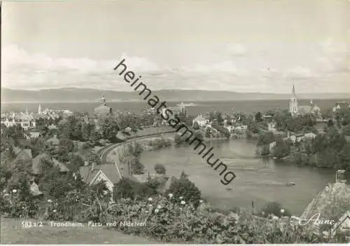 Trondheim - Parti ved Nidelven - Foto-Ansichtskarte 50er Jahre - Verlag Knut Aune Trondheim