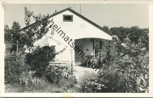 Tullnerbach-Lawies - Bartberg - Foto-AK gel. 1965