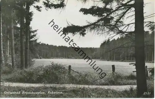 Brunshaupten - Rehwiese - Foto-Ansichtskarte - Verlag Geier & Co. Breslau