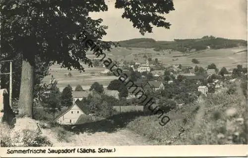 Saupsdorf - Verlag H. Wagner Hinterhermsdorf - Foto-AK Handabzug 50er Jahre