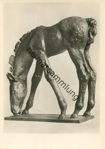 Weidendes Fohlen - Bronze 1929 - Renée Sintenis - Foto-AK Grossformat - Rembrandt-Verlag Berlin