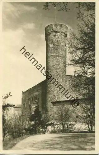 Tallinn - Langer Hermann - Foto-AK