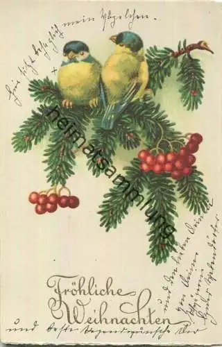 Fröhliche Weihnachten - Vögel