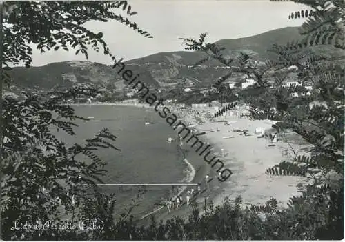 Besenfeld - Verlag Gebr. Metz Tübingen