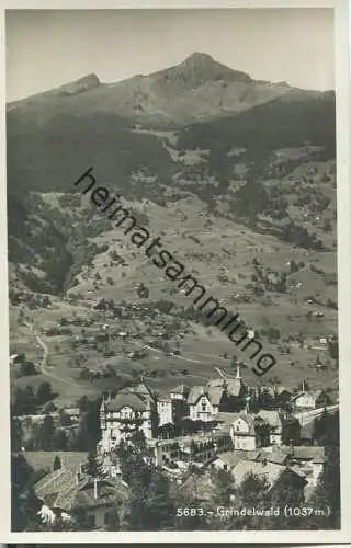 Grindelwald - Foto-Ansichtskarte - Edition Societe Graphique Neuchatel - Militärsache