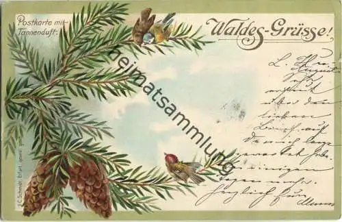 Waldes-Grüsse - Postkarte mit Tannenduft - Verlag J. C. Schmidt