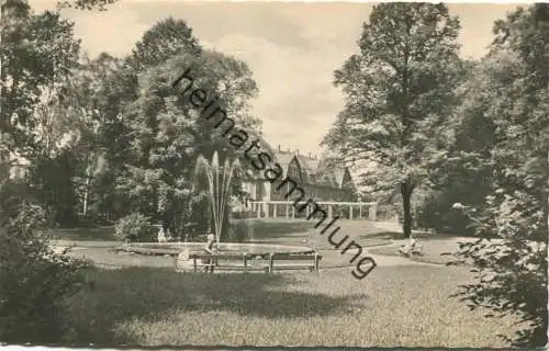 Werdau - Stadtpark - Foto-AK - VEB Bild und Heimat Reichenbach gel. 1964