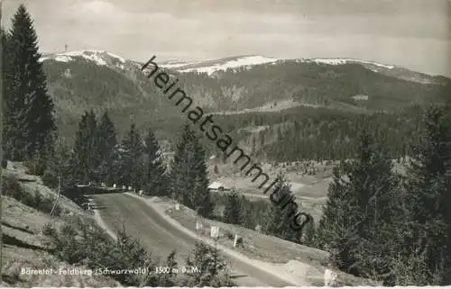 Bärental - Feldberg - Foto-AK - Verlag Erwin Burda Freiburg