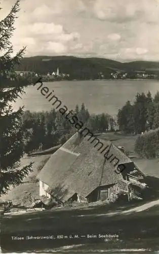 Titisee - Beim Seehäusle - Foto-AK - Verlag Erwin Burda Freiburg