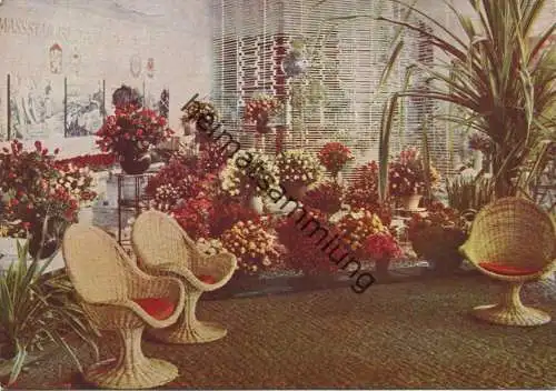 Erfurt - 1. Internationale Gartenbauausstellung der sozialistischen Länder 29. April bis 15. Oktober 1961- Verlag Walthe