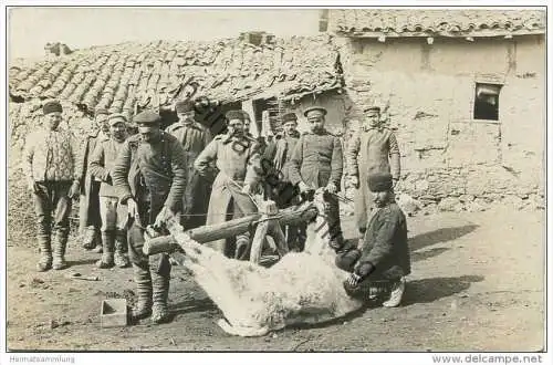 Mazedonien Landwirtschaft - Beschlagen eines Ochsen - Militär - Foto-AK ca. 1915