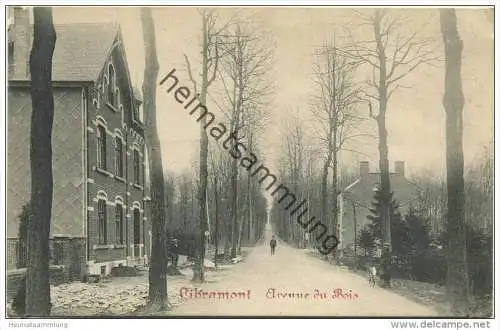 Libramont - Avenue du Bois - Edit. Prinson-Croix et Fils - Rückseite beschrieben 1914