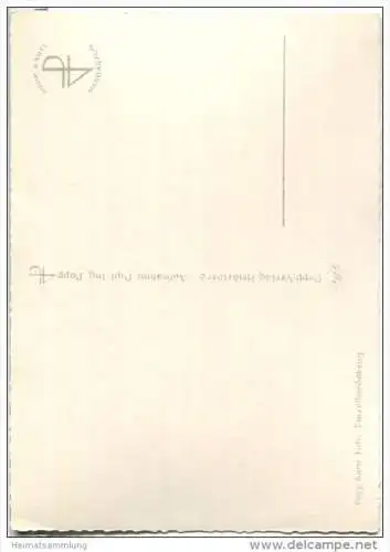 Der Brunnberg - Popp-Verlag Heidelberg - Einzelhandabzug