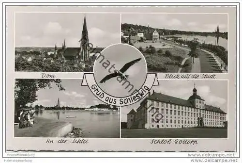 Schleswig - Foto- AK 50er Jahre