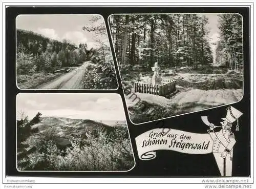 Steigerwald - Foto-AK Grossformat 60er Jahre