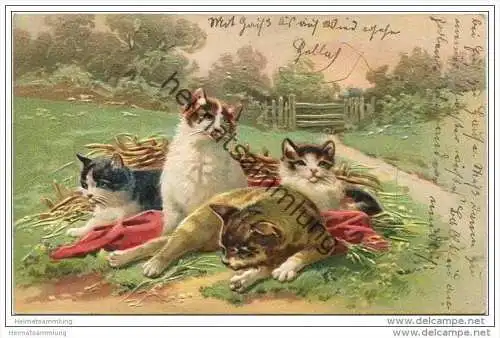 Katzen im Gras - Prägedruck