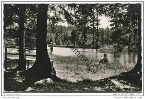 Waldbad Fleckl im Fichtelgebirge - Foto-AK 50er Jahre