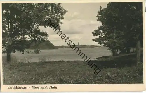 Südensee - Sörup - Foto-Ansichtskarte