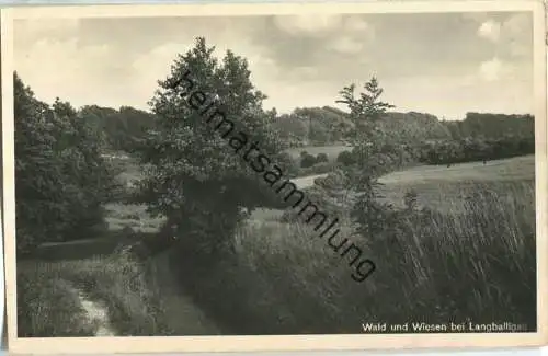 Langballigau - Wald - Wiesen - Foto-Ansichtskarte