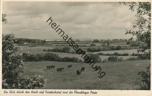 Friedrichstal - Foto-Karte ohne rückseitige Ansichtskarteneinteilung