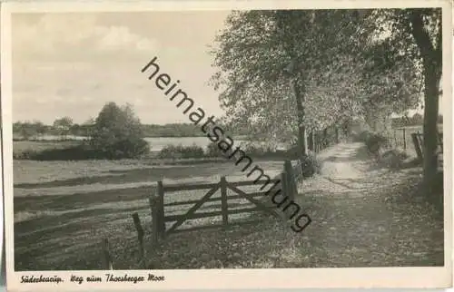 Süderbrarup - Weg zum Thorsberger Moor - Foto-Karte ohne rückseitige Ansichtskarteneinteilung