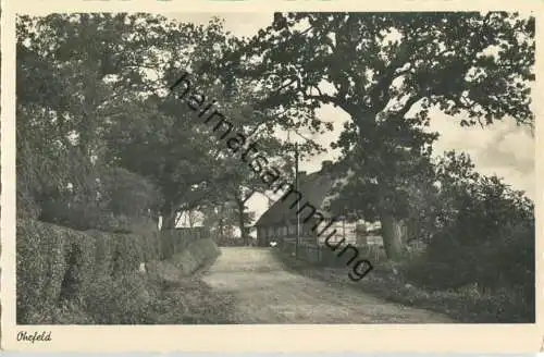 Ohrfeld - Foto-Ansichtskarte - Verlag Foto-Remmer Langballig - Serie Das schöne Angeln