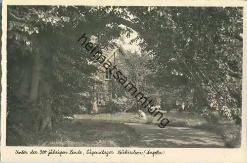 Neukirchen - Jugendlager - 300-jährige Linde - Foto-Ansichtskarte - Verlag Foto-Remmer Langballig