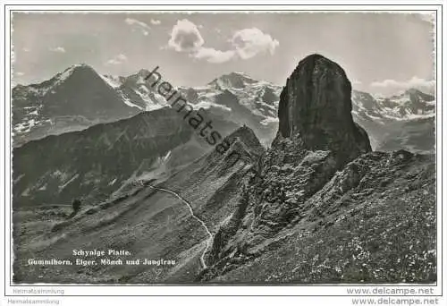 Schynige Platte - Gummihorn - Foto-AK