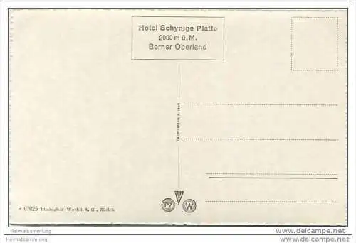 Schynige Platte - Gummihorn - Foto-AK