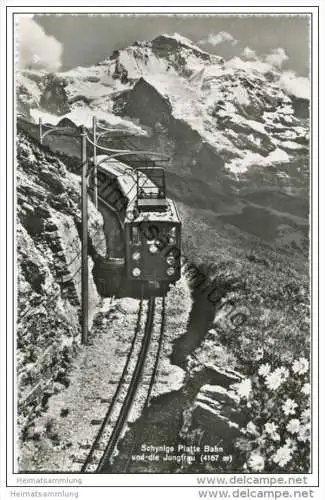 Schynige Platte-Bahn und die Jungfrau - Foto-AK