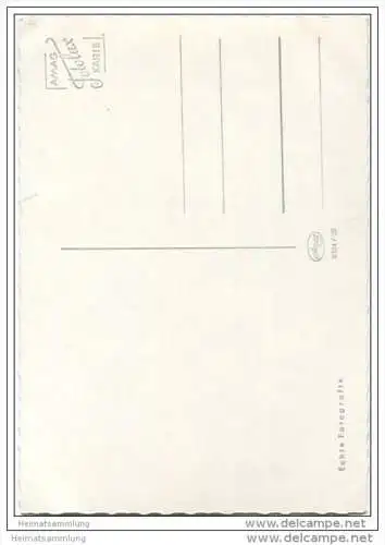 Pferd - Der Favorit - Foto-AK