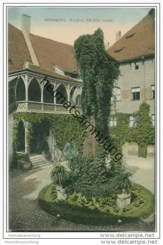 Nürnberg - Burghof - Linde